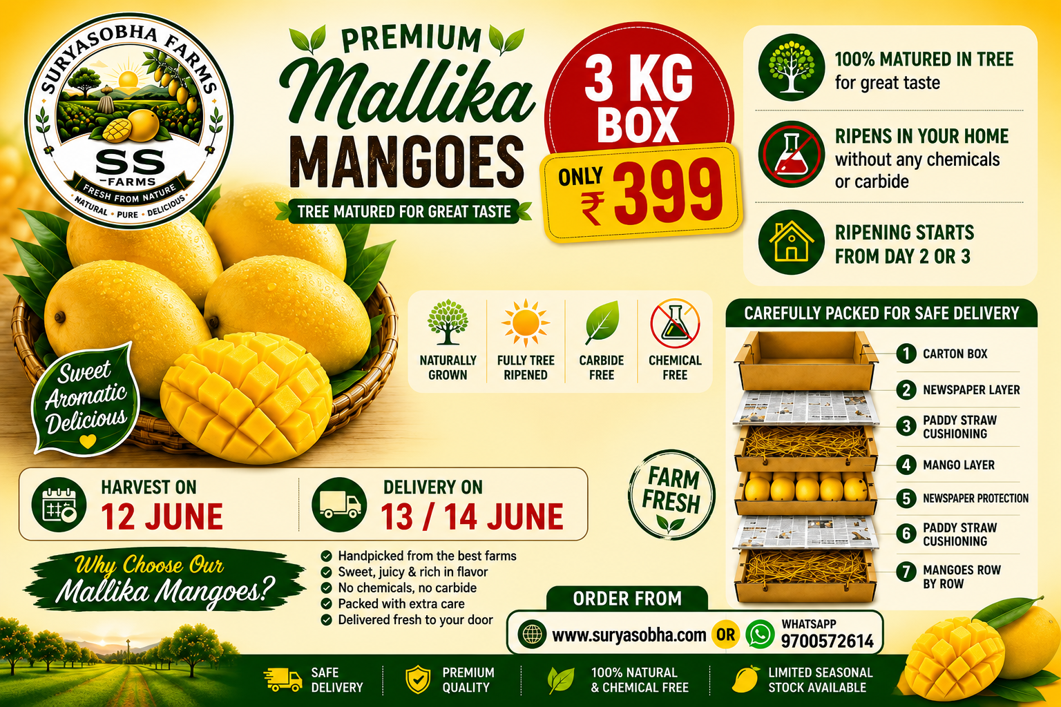 Buy Farm Fresh Mangoes Online | SuryaSobha Farms